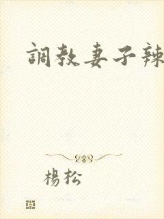 调教妻子辣文封面