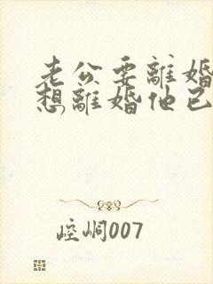 老公要离婚我不想离婚他已经不回家了封面