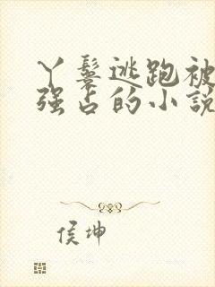 丫鬟逃跑被男主强占的小说封面