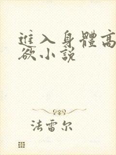进入身体高潮情欲小说