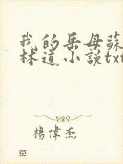 我的岳母苏沛真林道小说txt