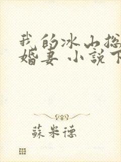 我的冰山总裁未婚妻 小说下载