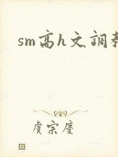 sm高h文调教