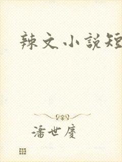 辣文小说短篇伦