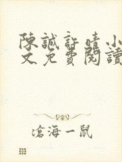 陈诚许晴小说全文免费阅读最新章节封面