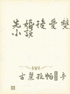 先婚后爱双男主小说