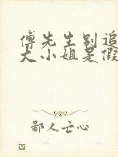 傅先生别追了,大小姐是假的短剧免费观看