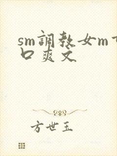 sm调教女m重口爽文封面