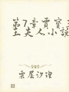 第7章贾宝玉上王夫人小说