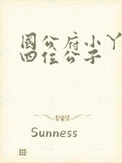 国公府小丫鬟和四位公子