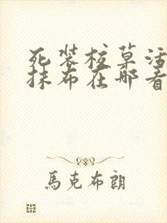 死装校草活该被抹布在哪看