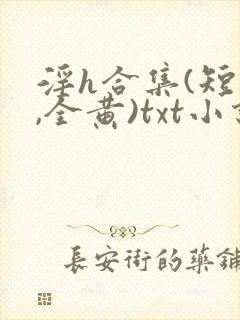 淫h合集(短篇,全黄)txt小说