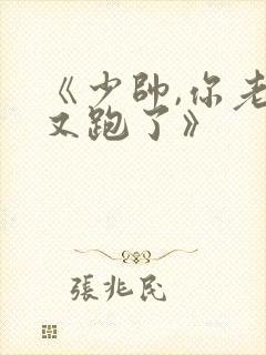 《少帅,你老婆又跑了》