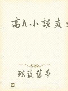 高h小说爽文封面