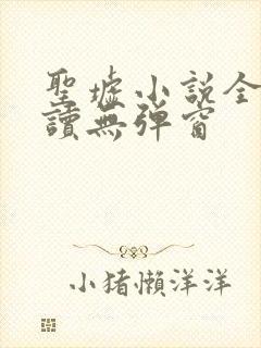 圣墟小说全文阅读无弹窗封面