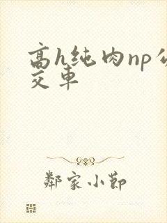 高h纯肉np公交车