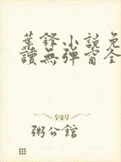 叶锋小说免费阅读无弹窗全文封面