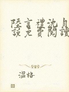 陆言礼沈月慈小说免费阅读最新章节