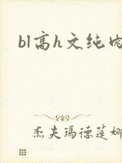 bl高h文纯肉