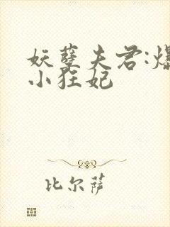 妖孽夫君:爆宠小狂妃