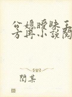 公媳暧昧王铁柱方冉小说阅读封面