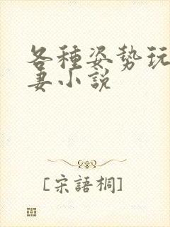 各种姿势玩弄人妻小说封面