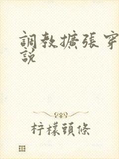 调教扩张穿环小说封面