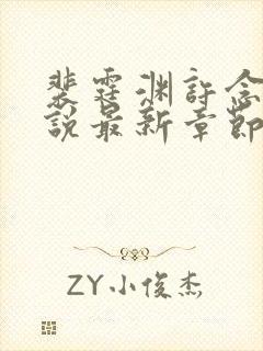 裴霆渊许念笙小说最新章节免费阅读