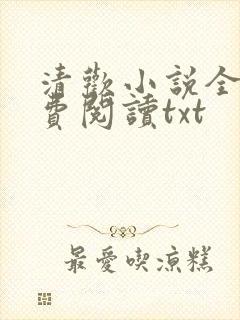 清欢小说全文免费阅读txt
