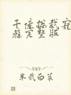 千亿总裁宠妻成瘾完整版封面