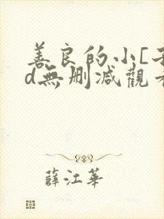 善良的小[子hd无删减观看韩国封面