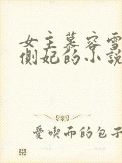 女主慕容雪被降侧妃的小说封面