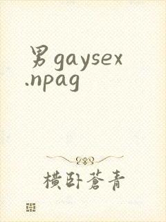 男gaysex.npag