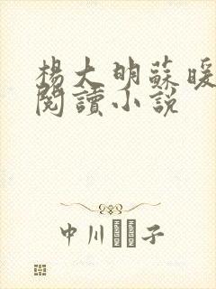 杨大明苏暖免费阅读小说