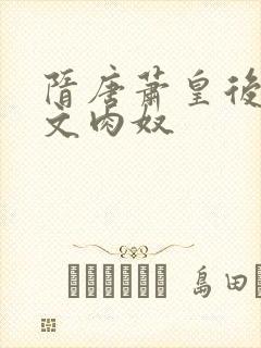 隋唐萧皇后肉h文肉奴封面