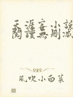 天涯客小说全文阅读无删减