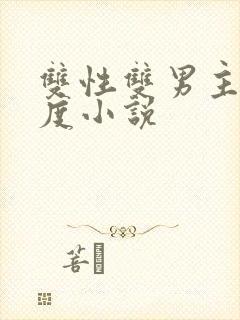 双性双男主大尺度小说封面