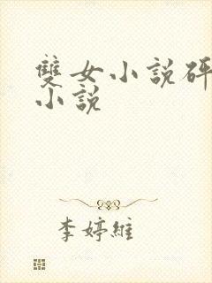 双女小说砰砰砰小说