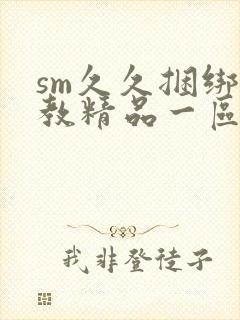 sm久久捆绑调教精品一区封面