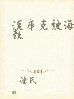 汉库克被海军调教