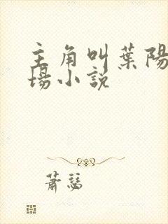 主角叫叶阳的官场小说封面