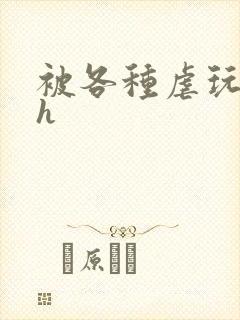 被各种虐玩小说h封面