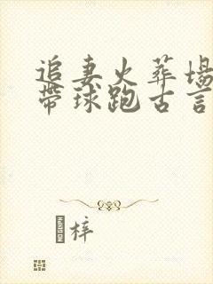 追妻火葬场女主带球跑古言