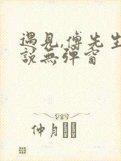 遇见,傅先生小说无弹窗