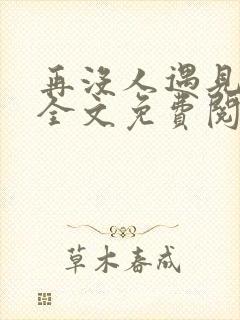 再没人遇见小说全文免费阅读封面