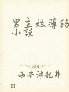 男主姓薄的总裁小说