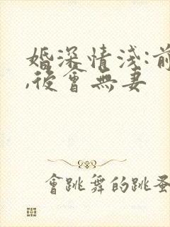 婚深情浅:前夫,后会无妻封面