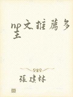 np文推荐多男主