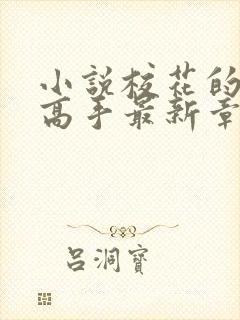 小说校花的贴身高手最新章节阅续