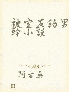 被室友的男朋友干小说封面